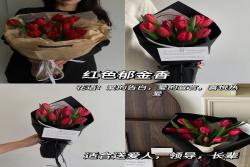 郁金香的花語和象征意義